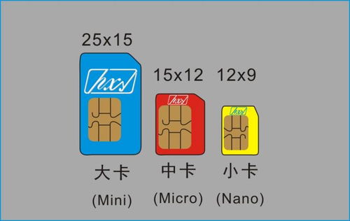 数字赋能，服务至上 高品质移动支付物联卡打造数字文化创意新生态